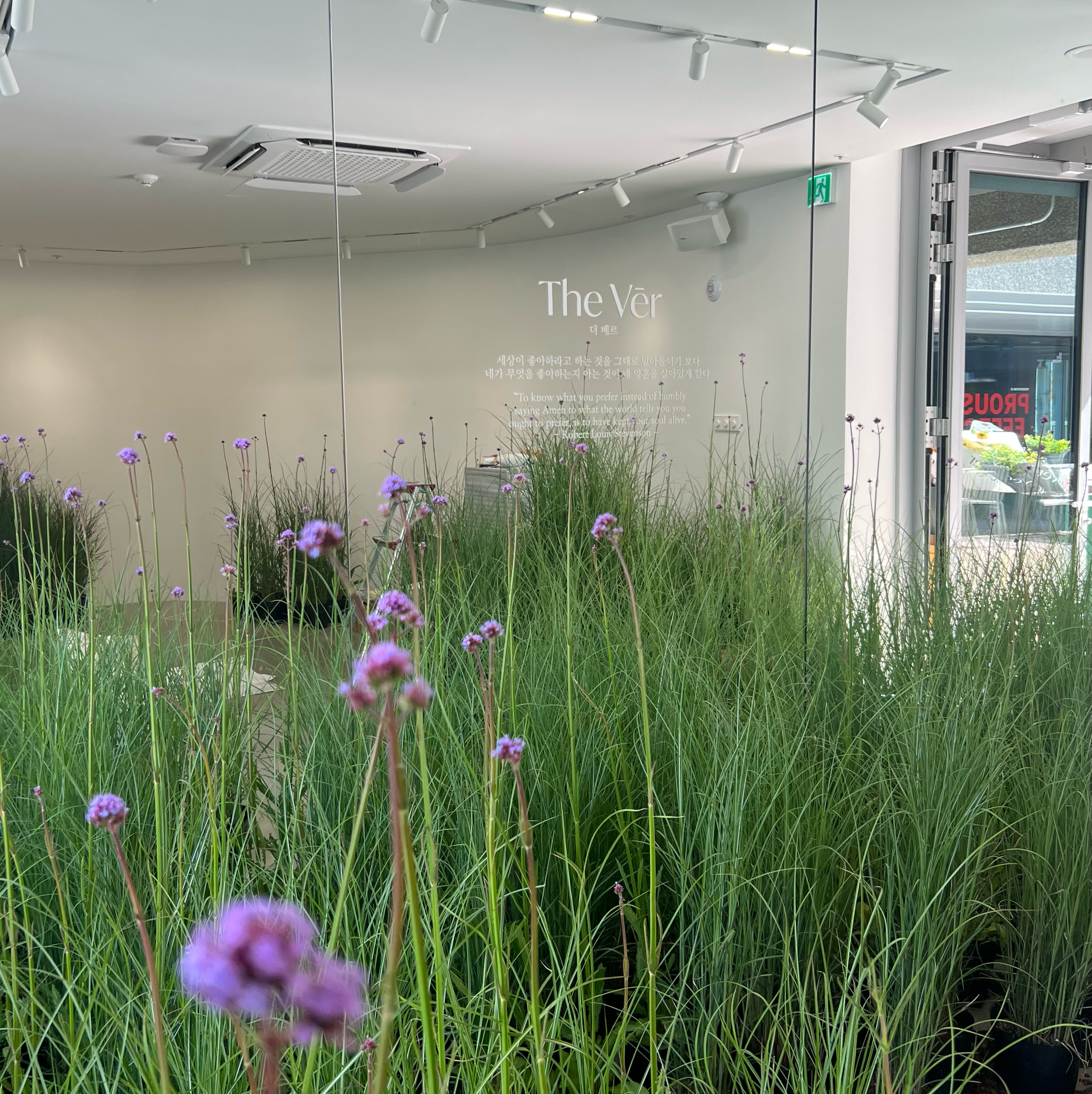 You are currently viewing 성수 The Ver POP-UP